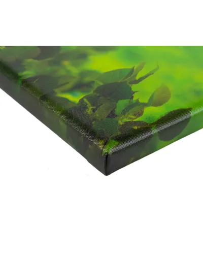 Fotoplátno 90 x 135 cm dle vlastního návrhu